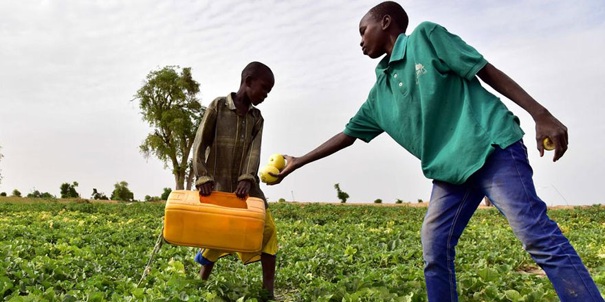 Fransa, gıda krizini aşmak için yine Afrikalının rızkına göz dikti